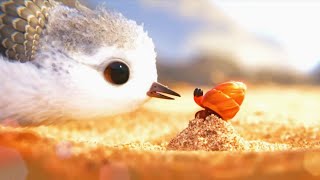 【Full Version】Cute Sandpiper Learns to Forage With The Help of a Crab.#cute