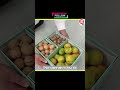 wow #lifehacks #hack #shorts #viral