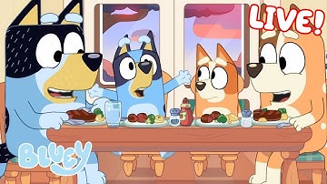 🔴LIVE: Family Feast with Bluey | 30 MINUTES+ | Bluey