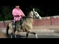 Sindhi horse riding Farid pehlwan