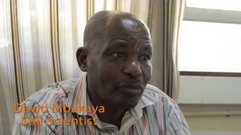 Using lime to address soil acidity - scientist perspective Kenya