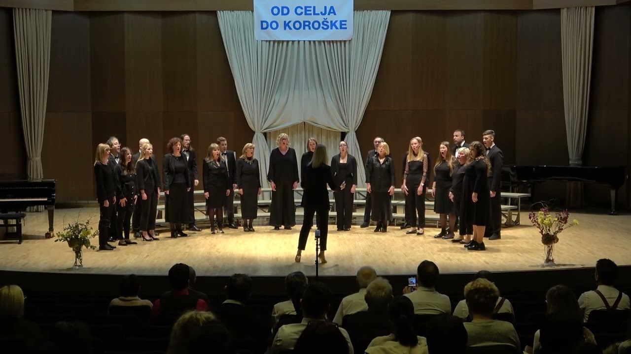 Regijsko tekmovanje odraslih pevskih zasedb Od Celja do Koroške 2025, MePZ Risto Savin, Žalec