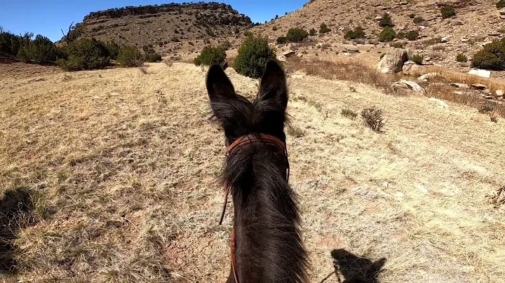 2022 04 30 Cucharas Canyon Trail