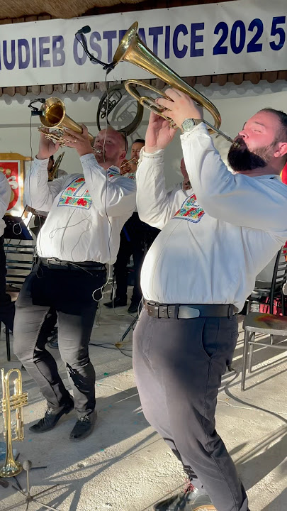 Dunajska Kapela-Fifi #blasmusik #blech #trumpet #live #brass #blaskapelle #live #musik #band