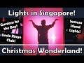 Lights in Singapore - Christmas Wonderland at Gardens By the Bay!