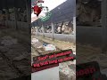 sapi Po big jumbo long sasis