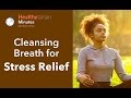 Cleansing Breath Exercise to Relieve Stress &amp; Improve Wellbeing (Healthytarian Minutes ep. 12)