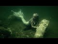 Mullett lake mermaid  michigan mermaid swims underwater in mullett lake