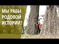 Как гармонизировать свою родовую историю