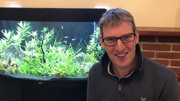 Advent Devotional 4 December 2020