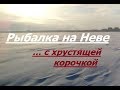 Рыбалка на Неве