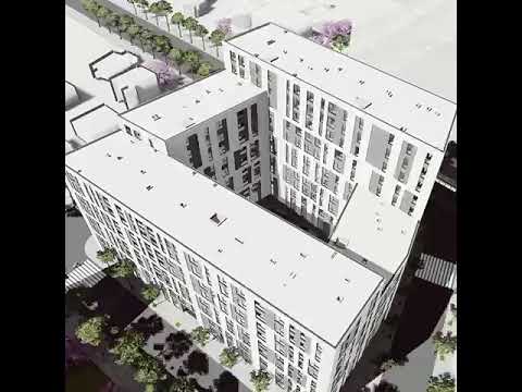 Video: Begonias Në Rritje Në Një Apartament