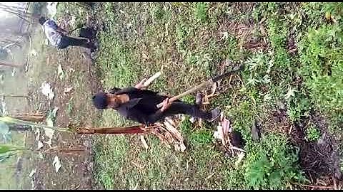 mao naga boys morning work