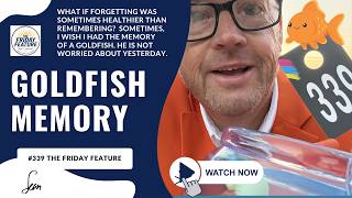 Goldfish Memory | Ep. 339 The Friday Feature