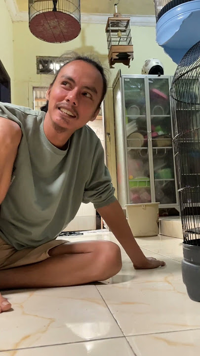 Dan Akhirnya Burung Cucak Jenggot yg Ditunggu-Tunggu #burung #kicaumania #qinarabanyuwangi