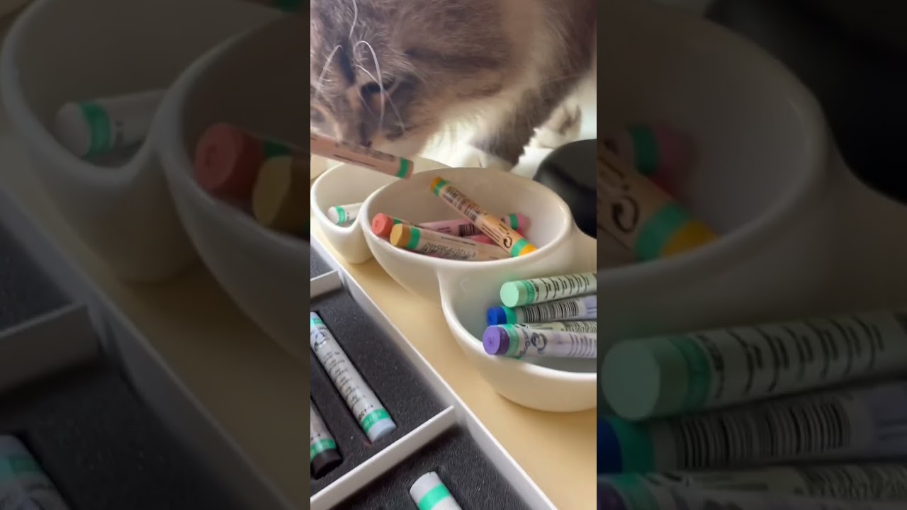 Pastel Sky- Art of Pastel Sticks… 