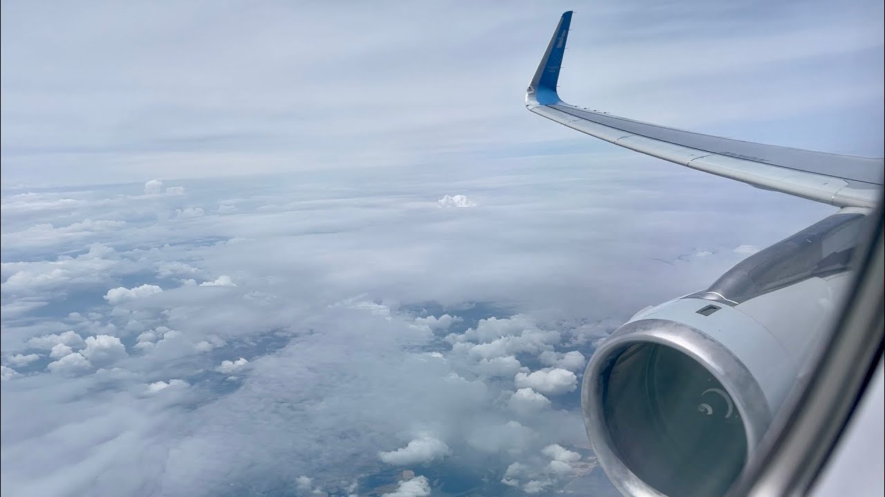 CRUISE | American A321 Medal of Honor | DFW to Nashville | Kodiak First Class