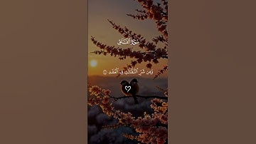 قران كريم راحة نفسية 🤍🎧 متابعة للصفحة فضلاً 🥰🤍 #قرآن #قران_كريم