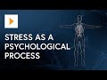 Understanding Stress Response