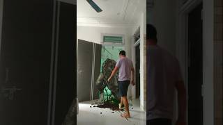 Dinosaur | |3D special effects Green screen | #shorts #vfx