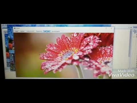 VB.Net project on Flower shop management