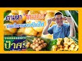 ตามหา ขนมมด ขนมโบราณของภาคใต Phai Sornwarong ตามหา ขนมมด ขนมโบราณของภาคใต Phai Sornwarong