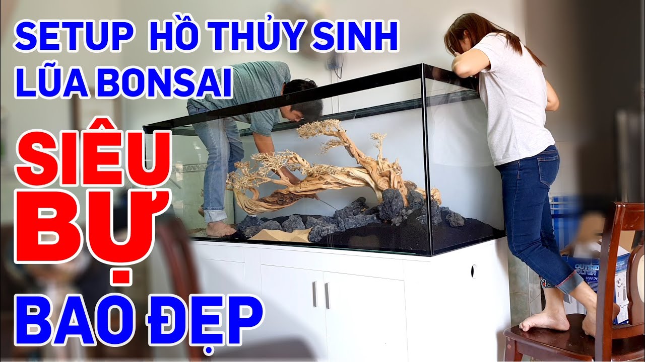 Setup hồ thủy sinh siêu bự, siêu hoành tráng - Quoidecor