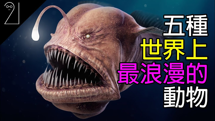 世上最浪漫的动物?｜麦田圈是为了示爱?｜21研究室 - 天天要闻