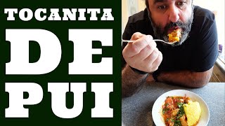 RETETA TOCANITA DE PUI
