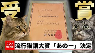 2023新猫語・流行猫語大賞の年間大賞が「あのー」に決定しました【猫アテレコ】【猫ニュース】