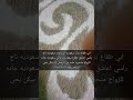 ابي جاده من الرياض متحرره للزواج