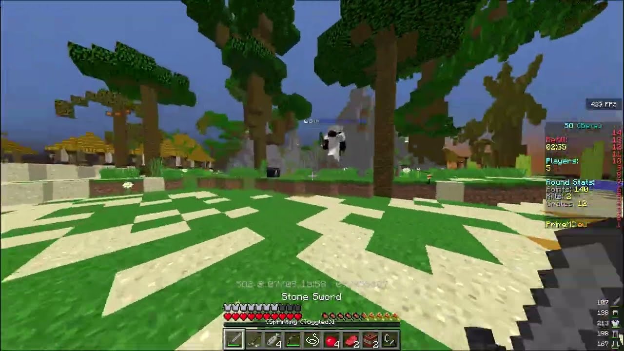 PVPGYM/PRIMEMC 2V2 & SG