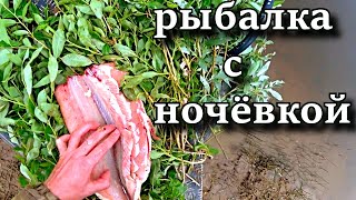 ПЕРЕМЕТ НА ЩУКУ??? РЫБАЛКА С НОЧЕВКОЙ ИЛИ ВКУСНЕЙШЕЕ ПРИГОТОВЛЕНИЕ ЩУКИ