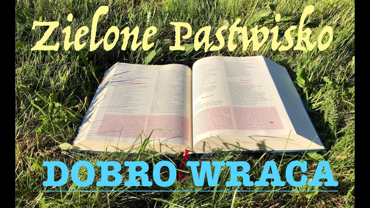 zielone-pastwisko-27-06-2023-dobro-wraca-mt-7-6-12-14-o-piotr