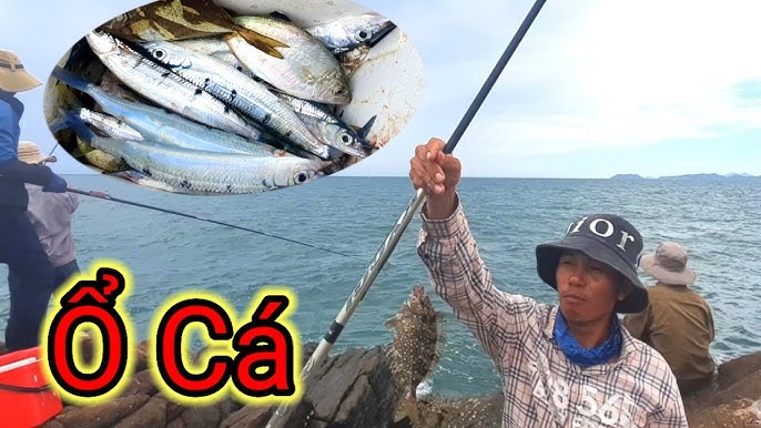 4. Giá trị dinh dưỡng và lợi ích sức khỏe từ cá biển Sapa
