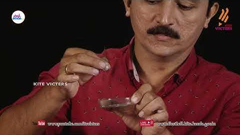 FIRST BELL 2.0  ENGLISH MEDIUM PHYSICS CLASS -