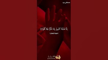 تلاوة عطرة من سورة الإنسان للقارئ مصطفى جيد