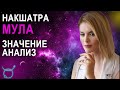 Накшатра Мула: описание, характеристики и пады