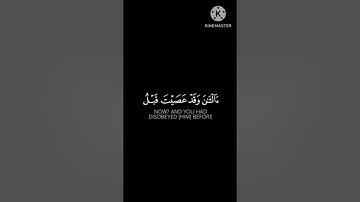 سورة يونس تلاوة خاشعة القارئ علي ال نعسان #اسلام_صبحي #قران_كريم #شريف_مصطفى #راحة_نفسية