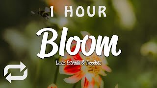 [1 HOUR 🕐 ] Lucas Estrada, TWOPILOTS - Bloom (Lyrics)