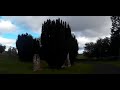 Cloudy autumn drive around cemetery on visit to alyth perthshire scotland
