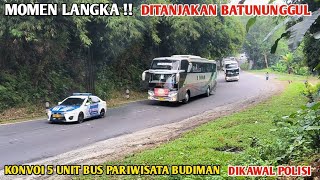 Momen Langka!! Konvoi 5 Unit Bus Budiman Pariwisata Dikawal Polisi Lewat Tanjakan Batununggul Ciamis