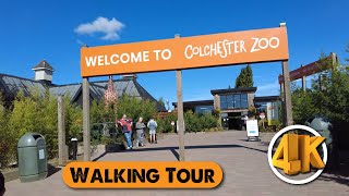 Colchester Zoo Walking Tour England | United Kingdom 🏴󠁧󠁢󠁥󠁮󠁧󠁿 screenshot 3