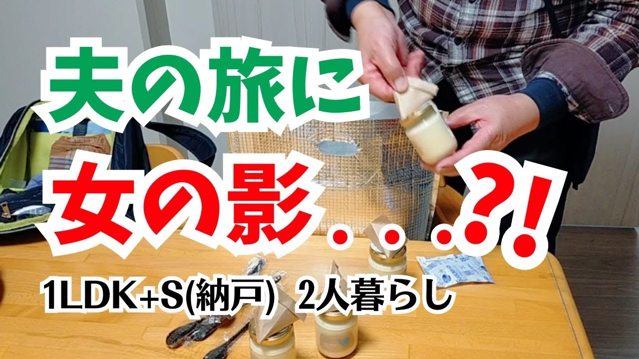 #194  夫の帰省、本当の目的は/クロスステッチ/60代年金暮らし/シニア夫婦