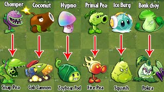 PvZ 2 Discovery - Plants Evolution WEAK - STRONG (P3)