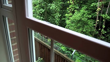 Pentax K30 Video Mode Contrast Detect Autofocus Test