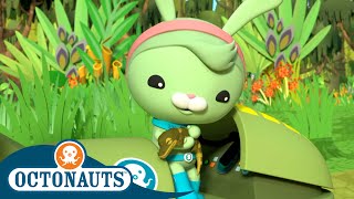 ​@Octonauts  The Great Swamp Adventure | Father's Day Special: Part 1 | Full Episodes