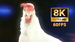 Chicken Techno (8K 60Fps Uhd)