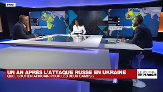 Les incidences du conflit Ukrainien pour le continent Africain • FRANCE 24