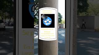 usted vio a mr. roblox azul